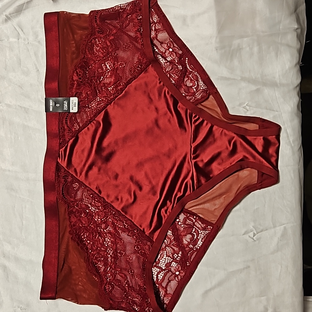 Torrid Curve high waisted panties